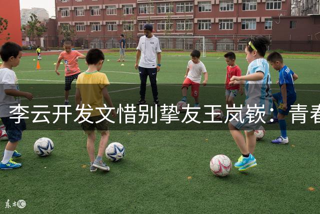 李云开发文惜别挚友王岚嵚：青春篇章终落幕